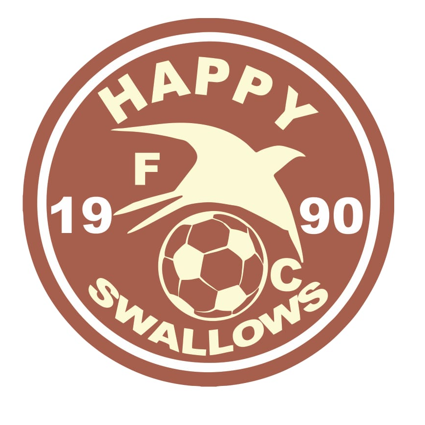 Happy Swallows FC
