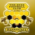 The Bees FC